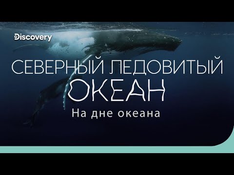 Северный Ледовитый океан: полярная бездна | На дне океана | Discovery