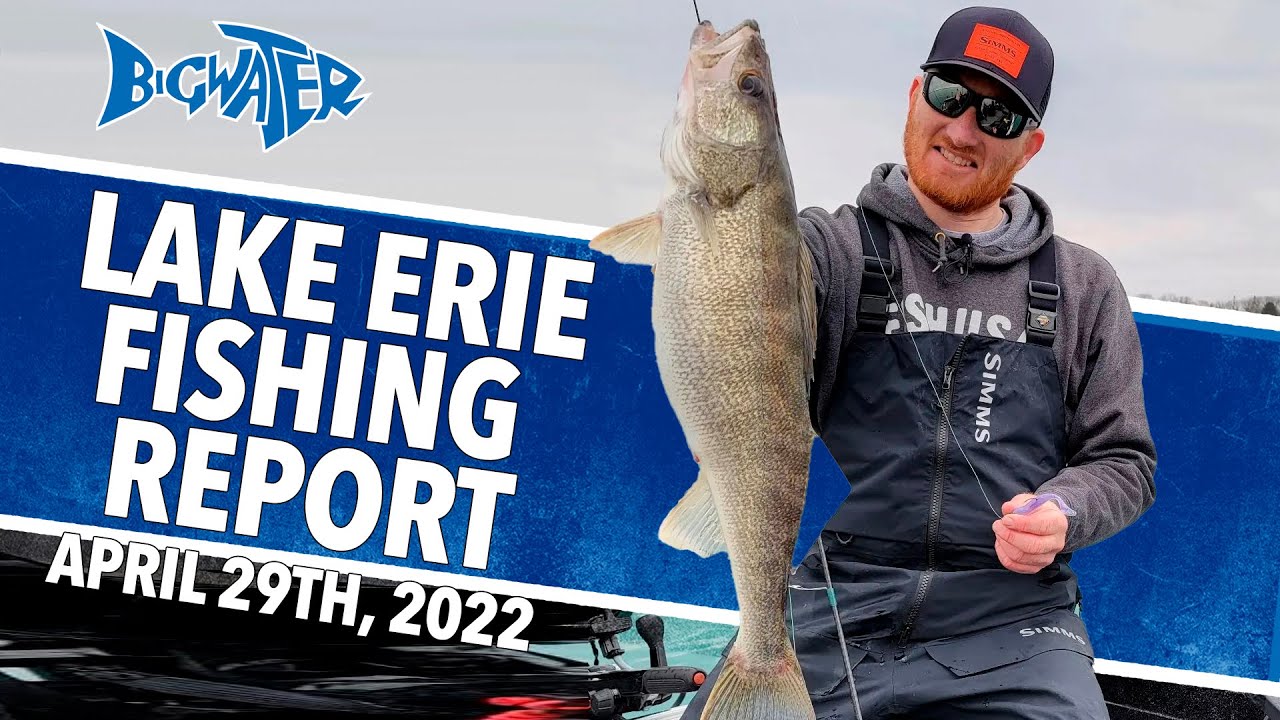 Lake Erie Walleye Fishing Report, April 29 2022 