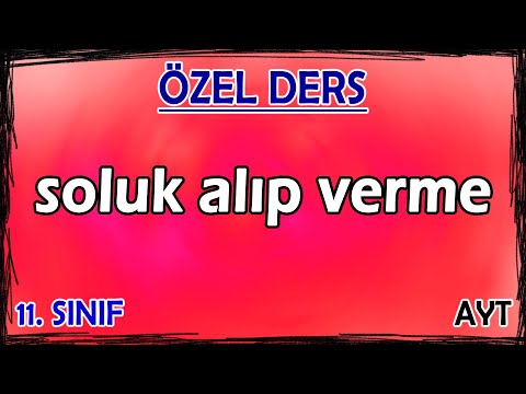 25) Solunum Sistemi 1 - Soluk Alıp Verme - Özel Ders (11. Sınıf)