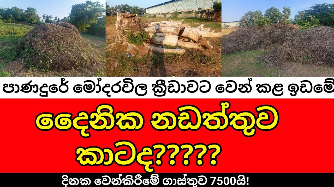 පාණදුරේ මෝදරවිල ක්‍රීඩාවට වෙන්කල ඉඩම අයාලේ යවන්න එපා..!