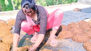 New cleaning vlog Punjabi girl #cleaningvlognew #cleaning#cowmilking#villagelifestyle #housecleaning