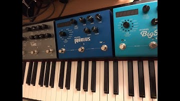 Prophet Rev 2+ Strymon Shimmer Pads