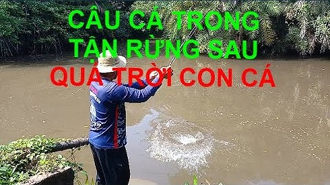 Câu cá chẽm Đầm 100 Hecta trong tận rừng sâu thâm thẩm || Thiên Nhiên Muôn Loài