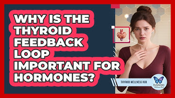Why Is The Thyroid Feedback Loop Important For Hormones? - Thyroid Wellness Hub