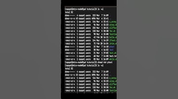 Directory Permissions in Linux | bash #shortvideo #linux #shellscripting