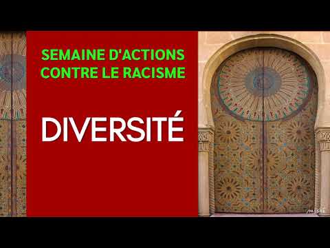 Capsule vidéo sur la Diversité