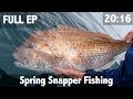 Spring Snapper Fishing
