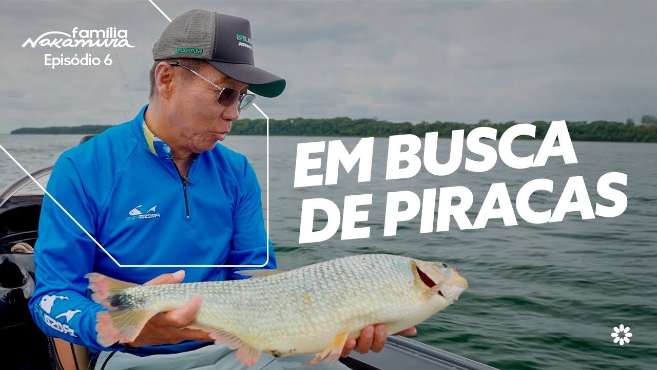 Desafio na Pesca! Família Nakamura atrás das PIRACANJUBAS em Porto Rico - PR