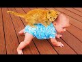 Funny Cat Videos  - Baby and Cat Fun and Cute - Funny Baby Videos