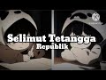 Selimut Tetangga - Repvblik  ( lirik lagu ) 🎶