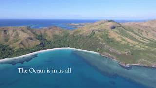 World Ocean Day 2020 - Pacific Ocean Commissioner