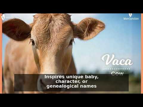 Gude Last Name