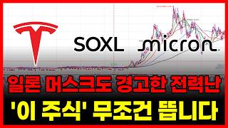 일론 머스크도 경고한 전력난 '이 주식' 무조건 뜹니다
