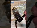 Tsunami Citadel fishing reel for the day #fishing #2ndchancetackle