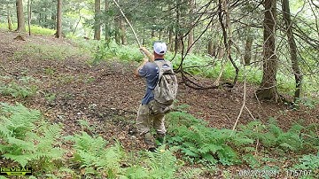 2021 G 4 scrape licking branch setup