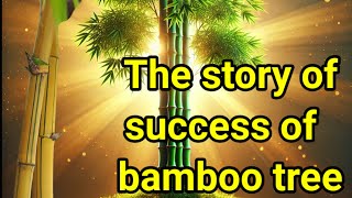 The bamboo tree story of success/English motivational story