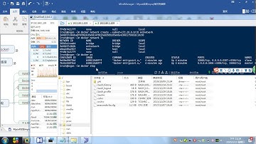 06 docker自定义网络模式，实现容器固定ip地址
