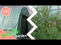 Vasili Inspects An Ebay Bought Green House! | Full Episode | Vasili's Garden