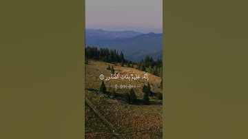 تلاوه خاشعه 🌿 ماهر المعيقلي ❤️🩹 #quran #اكسبلور #تلاوة_خاشعة #ماهر_المعيقلي #قرآن #راحة_نفسية