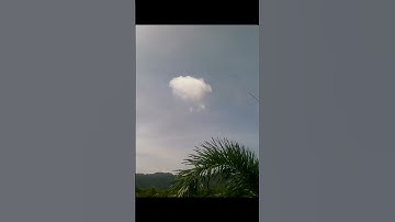 Clouds and a Palm tree #timelapsevideos #timelapse #cloudlapse #palm #skylapse #cloudscape #sky