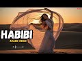 Arabic Remix 2026 Best New Arabic Remix Songs For Party Chill 