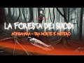 La foresta dei suicidi: Aokigahara tra morte e mistero