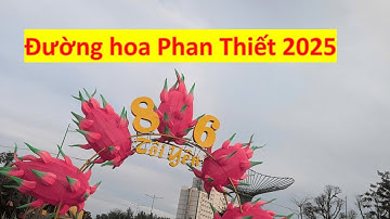 🎉🌸 Đường Hoa Phan Thiết 2025 – Sắc Xuân Rực Rỡ 🌸🎉