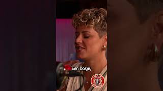 Download Lagu Een bosje rooie rozen! #28 Bekijk hem nu! MP3 Download Lagu Een bosje rooie rozen! #28 Bekijk hem nu! MP3