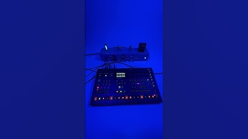 Tube feedback with Analog Four