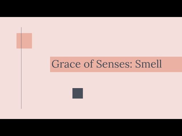 Grace of Senses | Smell