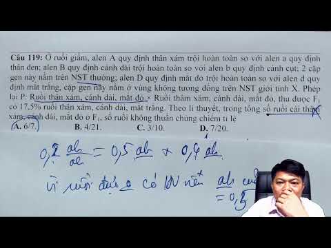 Đề minh họa 2021 của Bộ giáo dục