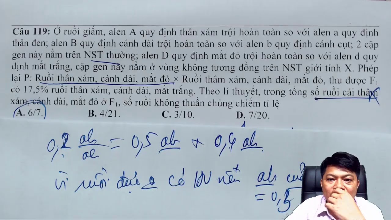 Đề minh họa 2021 của Bộ giáo dục