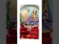 charan kamal balihari |today charan darshan #viral short #radhekrishna #khatu shyam