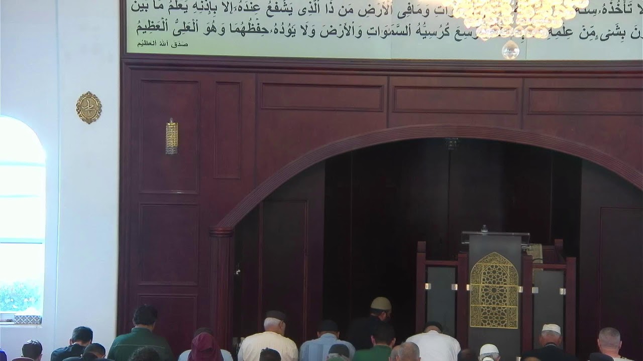 Jumu'ah | "Steps to Succeed in Life and the Hereafter" Moustafa Elsehrawy | Muttaqeen | Jan 09, 26