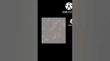 سبب قتل الفتاة الكولمبيا 