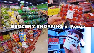 Grocery Shopping in Korea | Spring Day Grocery with Prices | Shopping in Korea | Korean Supermarket