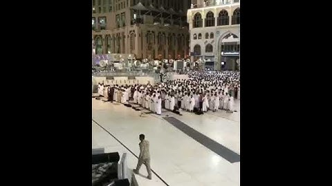 حالات واتس اب قرآن كريم | تلاوه رائعة ومؤثرة للشيخ عبدالله الجهني ⁦❤️⁩
