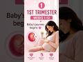 Did you know pregnancy divided into 3 trimesters? #trimester #pregnancy #babyontheway