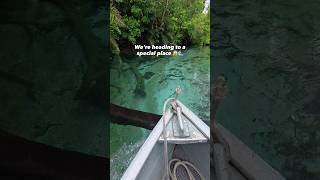 Expedition on the Sucuri River 🐍