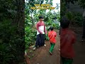 BOS BOCIL AZZA marah#lucu #comedy #drama #davidsunairi #bikinketawa #bikinketawa