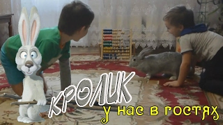 НАСТОЯЩИЙ КРОЛИК 🐰 У НАС В ГОСТЯХ. КОНТАКТНЫЙ ЗООПАРК. В МИРЕ ЖИВОТНЫХ. ВИДЕО ПРО ЖИВОТНЫХ НАСТОЯЩИЙ КРОЛИК 🐰 У НАС В ГОСТЯХ. КОНТАКТНЫЙ ЗООПАРК. В МИРЕ ЖИВОТНЫХ. ВИДЕО ПРО ЖИВОТНЫХ