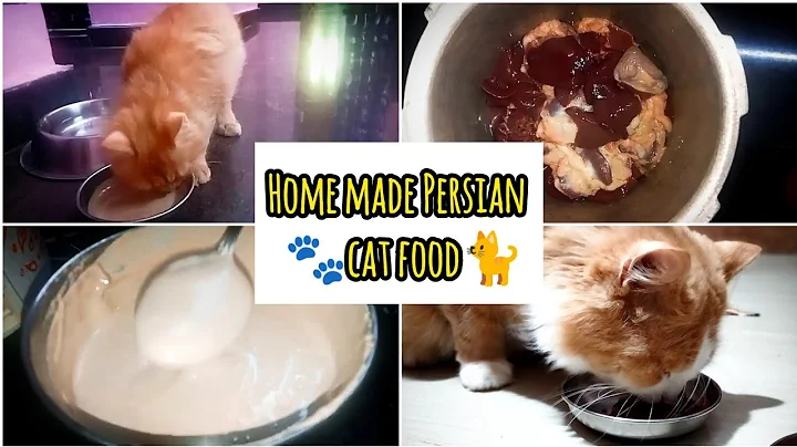 Watch the video about 🐾Home made Persian cat food🐈chicken liver gravy for Persian cat😺 @Metildalifestyle #feed #trending
