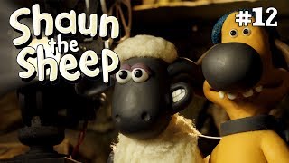 Film Night | Shaun the Sheep Season 3 | Full Episode