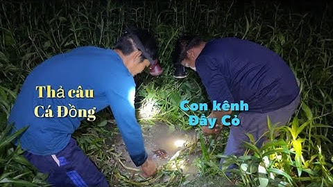 Đầu con nước rong đi thả câu cá đồng về nấu bữa cơm quê ngon hết ý | Cù Lao Dung Vlogs #571