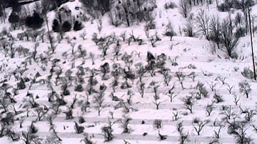 E-Flight Apprentice on board video