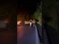 Camine 45 km para llegar a este hermoso lugar en el estado de México primera parte SUSCRÍBETE 🥭🥊
