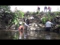 Working Sealyham Terriers の動画、YouTube動画。