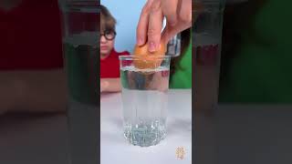 Why This Egg Floating? 😨 Science Experiment with Tape Cat 😸