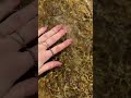 #asmr #tappingsounds #scratching #watersoundsrelaxation