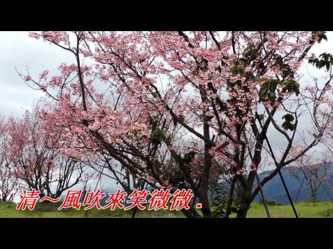 關仔嶺之戀(江蕙).mp4